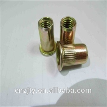 round head rivet nut , hex rivet nut, hex socket head nut