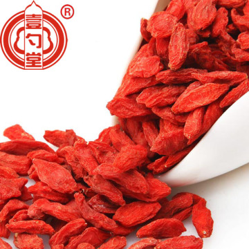 Ningxia Red Goji-bessen gedroogde vruchten exporteren