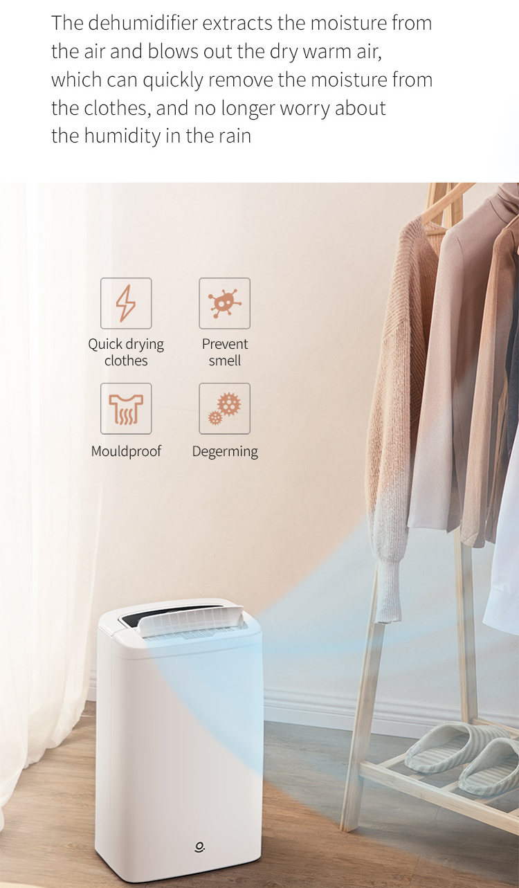 Zhibai Dehumidifier