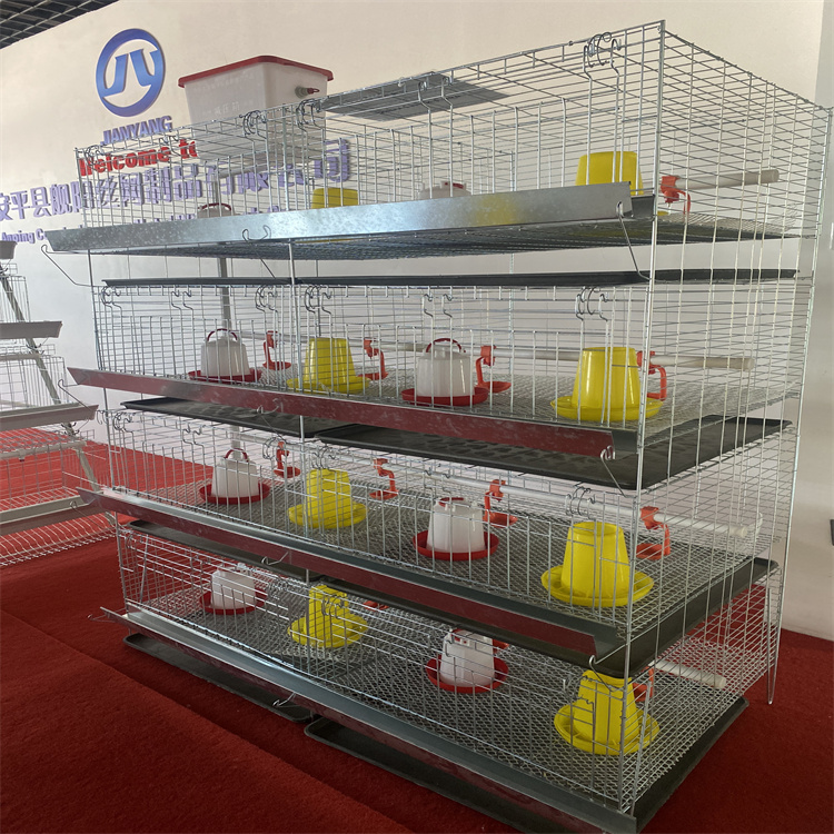 1000 Chicken Layer Cage - Affordable Battery Cages For Poultry, High ...