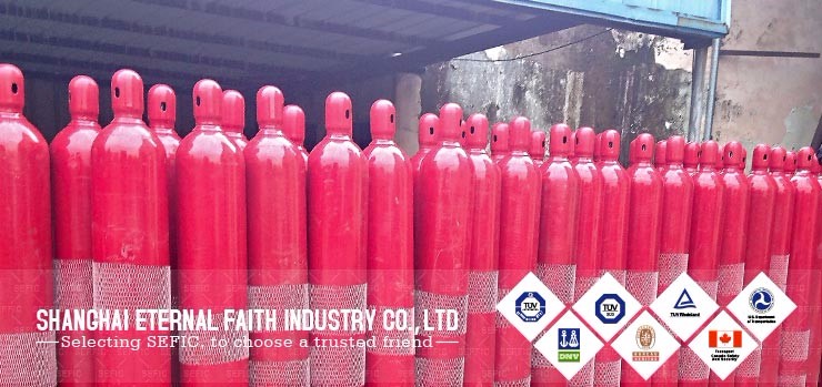 SEFIC brand high pressure carbon dioxide co2/Argon/Nitrogen/Oxygen gas cylinder