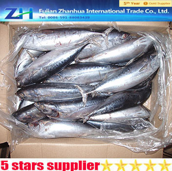 bonito fish flakes bonito powder bonito fish with prices