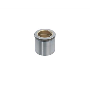 SUJ2+Copper Alloy Precision Headed Stripper Guide Bushing