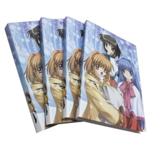 Wholesale A4 Plastic Display Book Binder with Sleeves