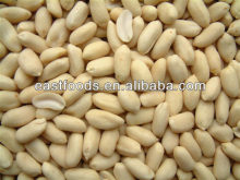 Blanched Peanut 29/33