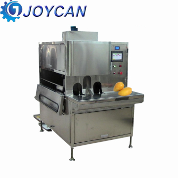 Chayote, Apple, and Canned Fruit Peeling and Cutting Machine