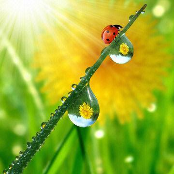 Picture frame moldings, glass thickness of 0.35cm