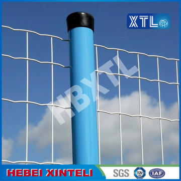 PVC Coated Holland Wire Mesh Fencing