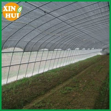 greenhouse insect proof net(factort price)