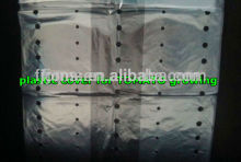 Garden used PE tomato plants cover for Korea