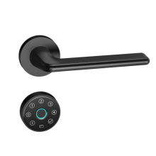 WiFi Enabled Smart Door Lock