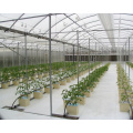 SkyPlant Planting Dutch Secket Hydroponics System