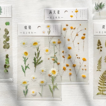 Japanese Words Flower and Leaf Deco Stickers: Natural Daisy, Clover, and More