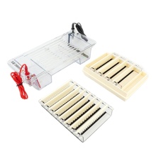 Hemoglobin Electrophoresis Machine for Paper Electrophoresis Experiments
