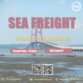 Frete marítimo do oceano de Shantou a Surabaya Indonésia