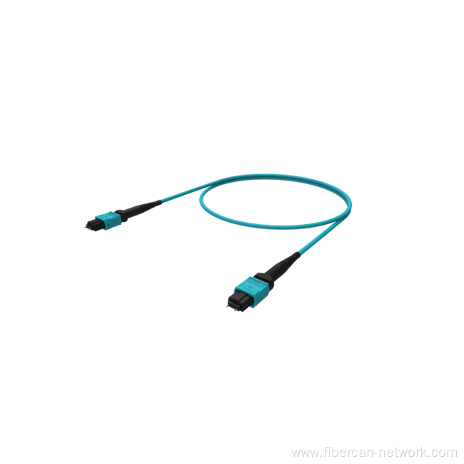Fiber Optic MTP and MPO Patch Cord