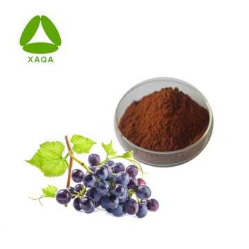 Extrait de pépins de raisin en poudre Procyanidine OPC 95% 4852-22-6