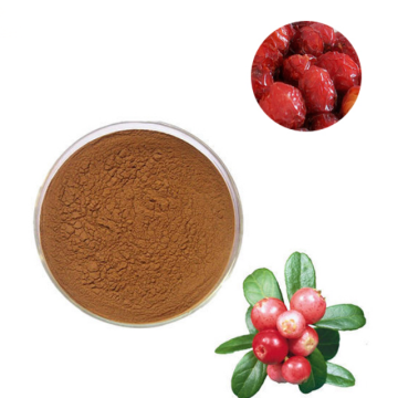 best rosehip powder