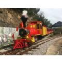 [Ali Brothers]outdoor rides electric sightseeing train