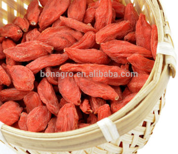 gou qi zi dry herb medicine goji berries