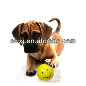 Rubber Pet Toy Ball