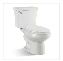 Two Piece Dual Flush Water Efficient Toilet
