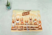 Removable Usable in Summer Winter Pet Cooling Pad