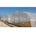 PE Film Greenhouse for Agriculture Low Cost Tunnel