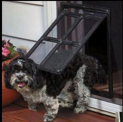 pet doors screen