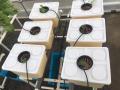 Σπίτι φύτευση Dutch Bucket Hydroponics σύστημα καλλιέργειας