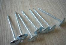 Anti-rusting Umbrella Head Roofing Nails