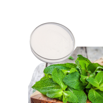 Supply Natural Stevia 90%/Bulk Stevia Powder price