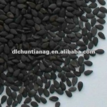 certified black sesame organic