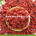 New Crop Factory Supply Dried Zhongning Lycium