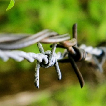 아연 도금 장식 철조망 펜싱