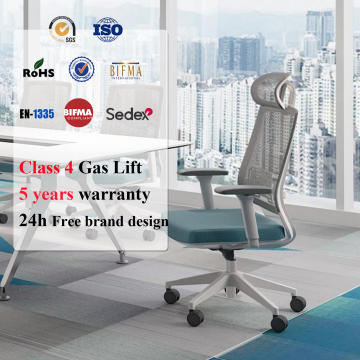 Luxury Mesh Swivel Office Chair for Administrative Tasks