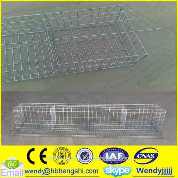 Layer chicken cage/chicken farm