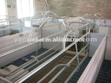 PVC Rail Elevated Farrowing Stall for Pigs