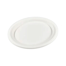 Disposable sugarcane bagasse pulp oval dinner plate