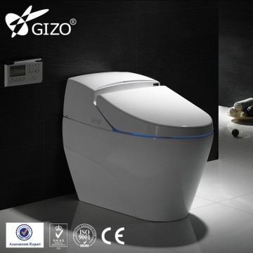 Same as Toto intelligent toilet