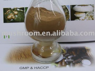 Ganoderma lucidum extract