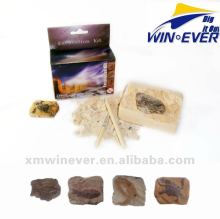 Ocean animal Fossil Excavation kit toy