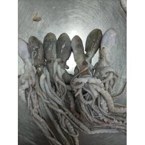 Κατεψυγμένο Whiparm Octopus Frozen Seafood