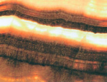 Jade onyx stone for wall,floor (jade glass)