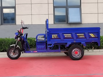 New style Two-light Electric Tricycle