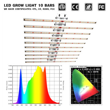 Estoque de US/UE 640/800W Luzes de cultivo de plantas