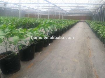 Fabric plant grow bags /grow pot/hydroponics grow pot