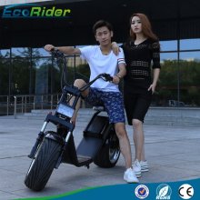Ce RoHS Fashion Citycoco/ Harley Scooter/ 2 Wheels Electric Scooter