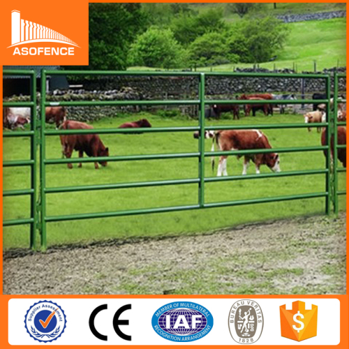 antirust painted surface heavy duty welded galvanized pipe horse fence panels