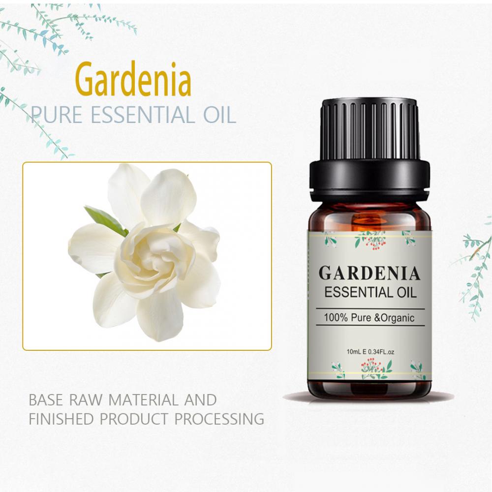 High Quality Natural Aromatherapy Cardenia Essential Oil